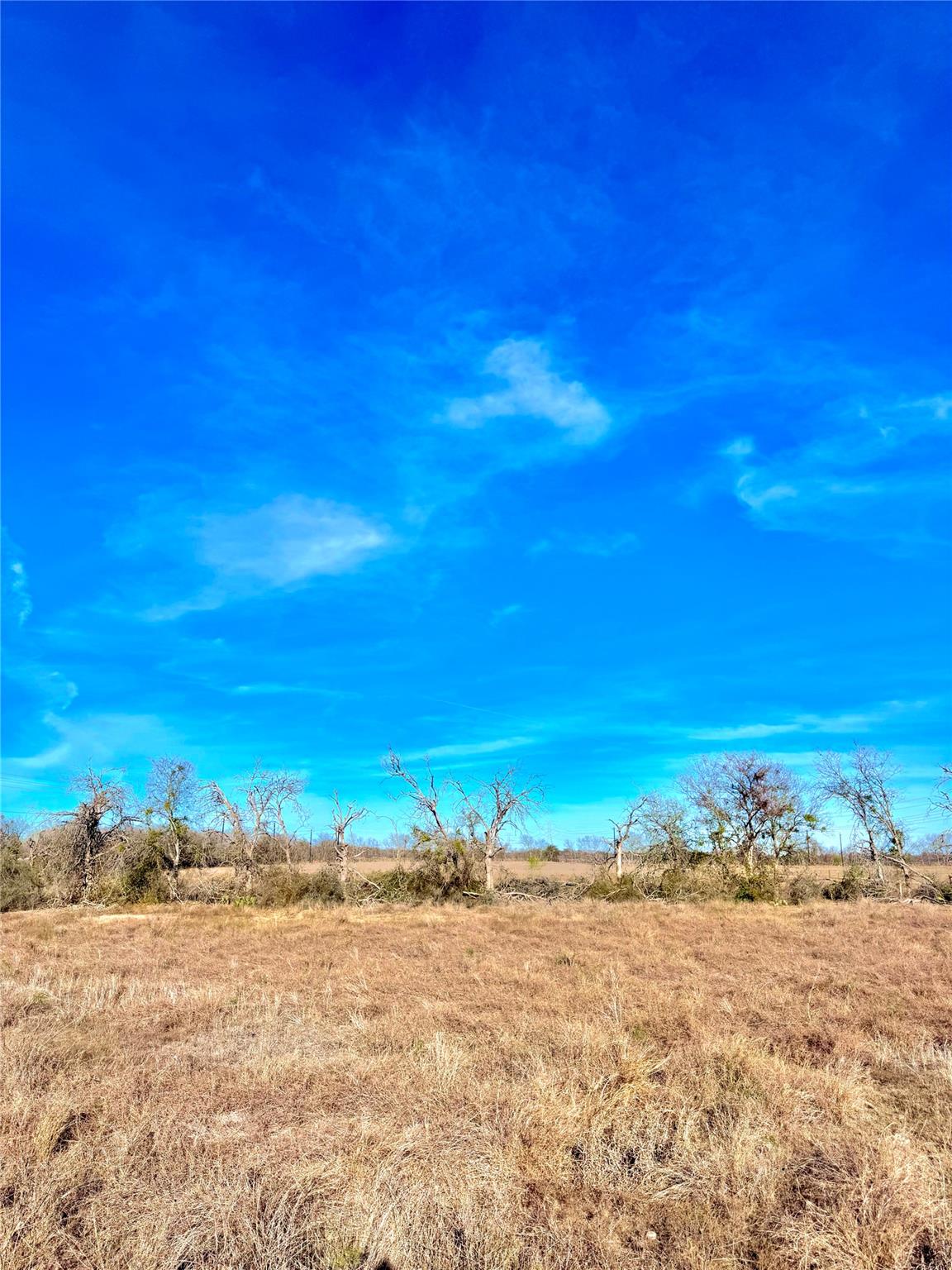 TBD Tract H Scull Rd, Martindale, TX 78655