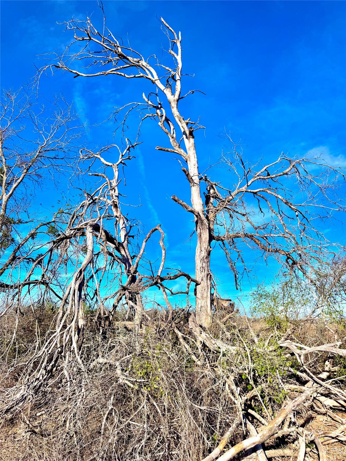 TBD Tract H Scull Rd, Martindale, TX 78655