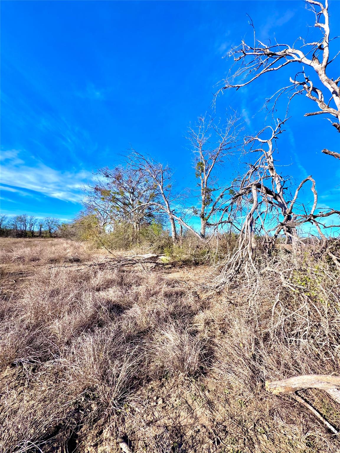 TBD Tract H Scull Rd, Martindale, TX 78655