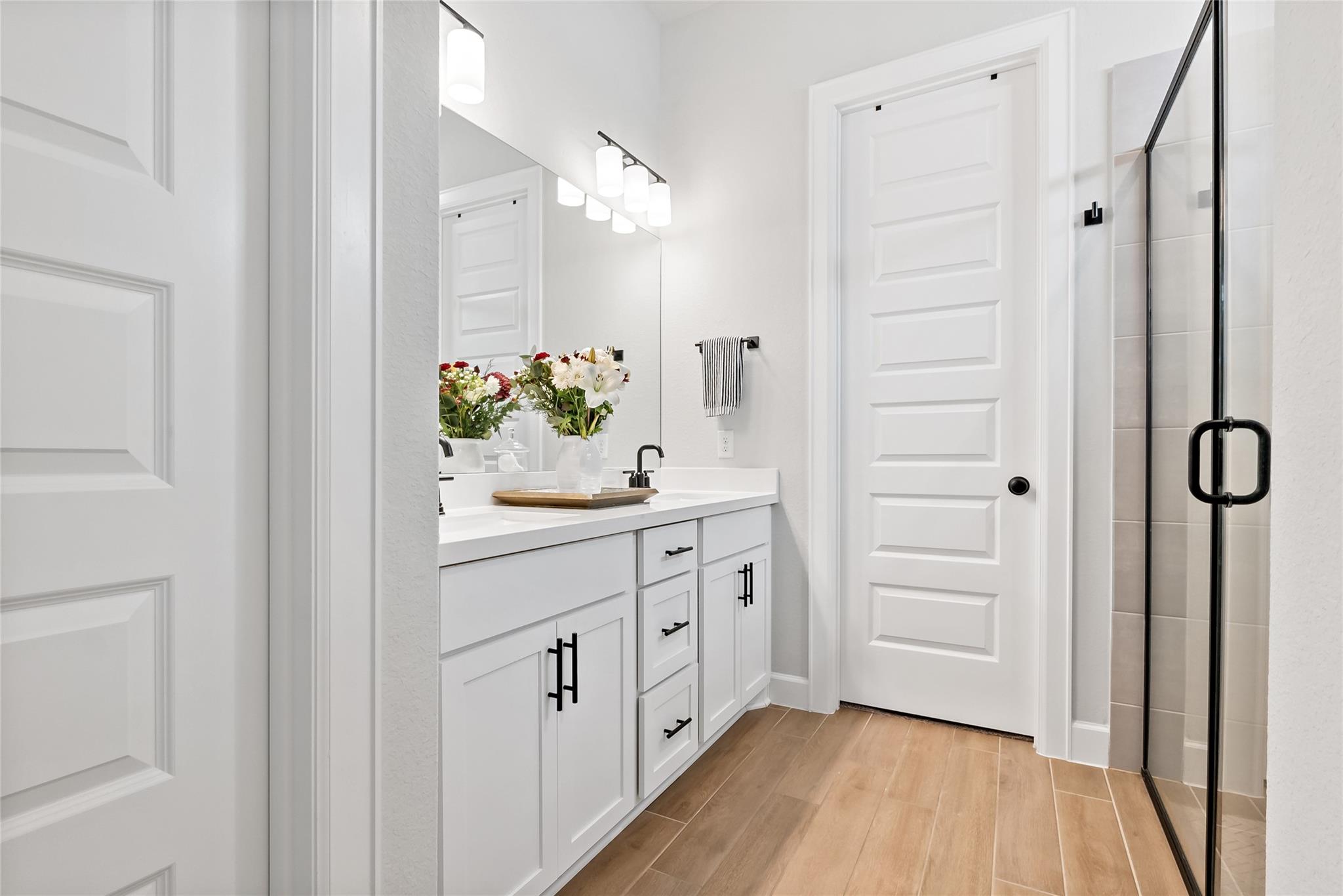 163 Cotton Tree Ter, Dripping Springs, TX 78620