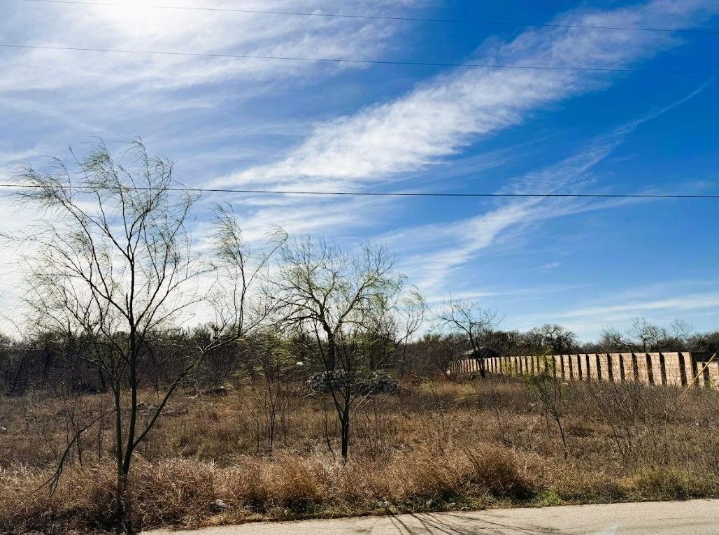 133 Blushing Dr, Cedar Creek, TX 78612