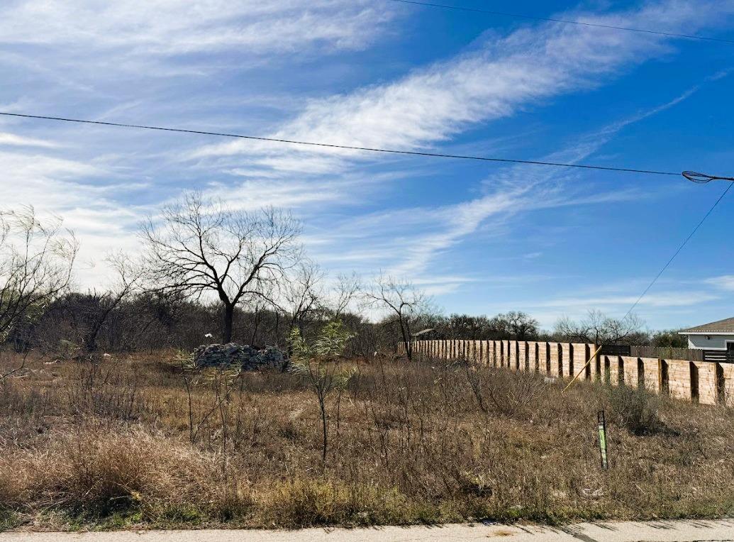 133 Blushing Dr, Cedar Creek, TX 78612