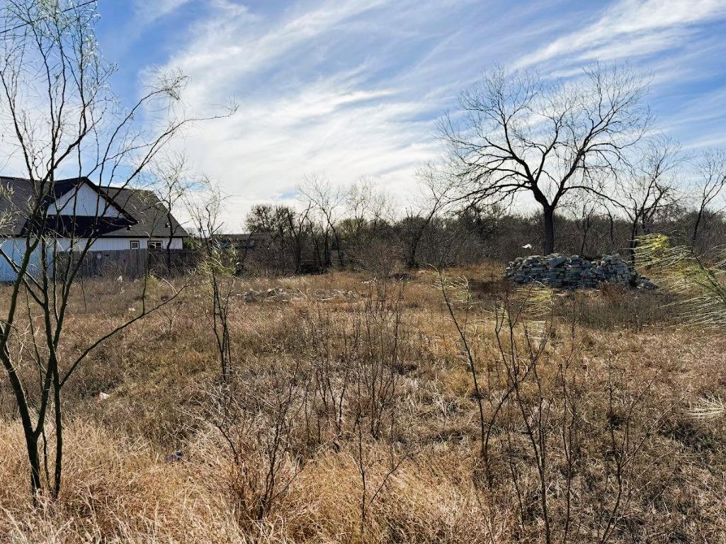 133 Blushing Dr, Cedar Creek, TX 78612