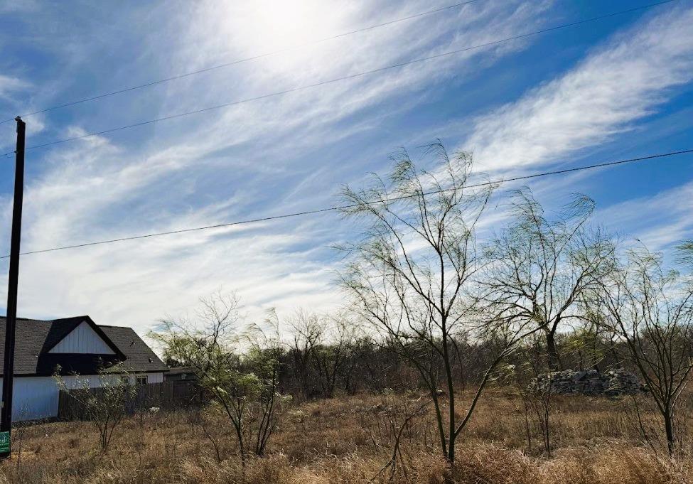 133 Blushing Dr, Cedar Creek, TX 78612