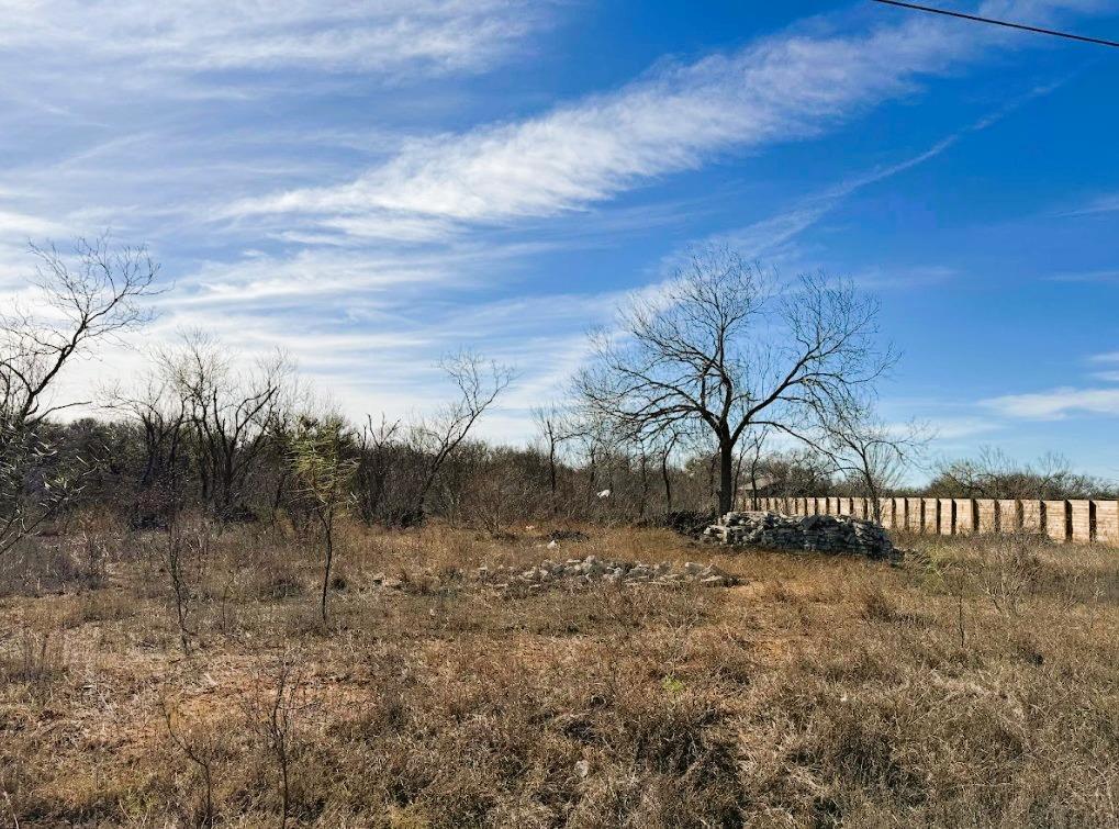 133 Blushing Dr, Cedar Creek, TX 78612