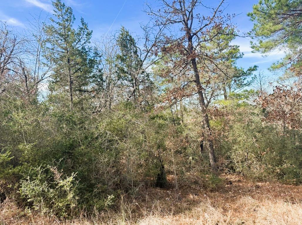 106 Olomana Ct, Bastrop, TX 78602