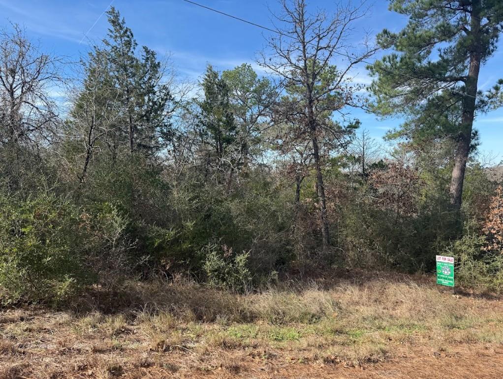 106 Olomana Ct, Bastrop, TX 78602