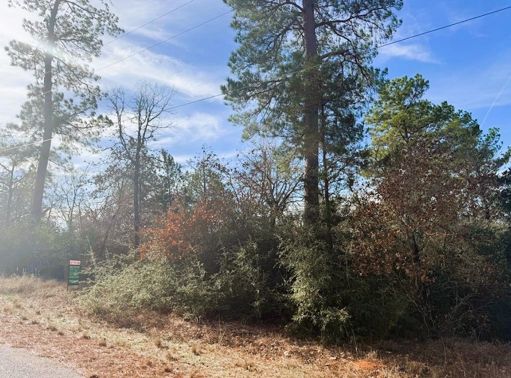 106 Olomana Ct, Bastrop, TX 78602