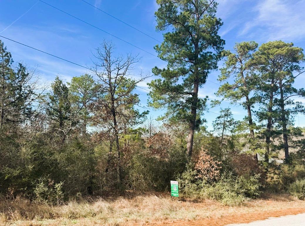 106 Olomana Ct, Bastrop, TX 78602