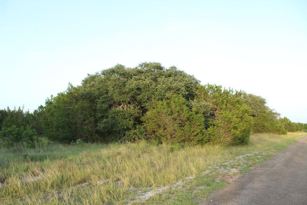 Lot-194 Whitewater Drive Dr, Bertram, TX 78605