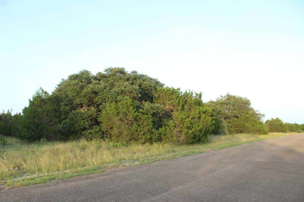 Lot-194 Whitewater Drive Dr, Bertram, TX 78605