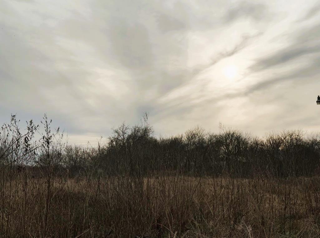 TBD (lot 6) Arnold Dr, Bartlett, TX 76511