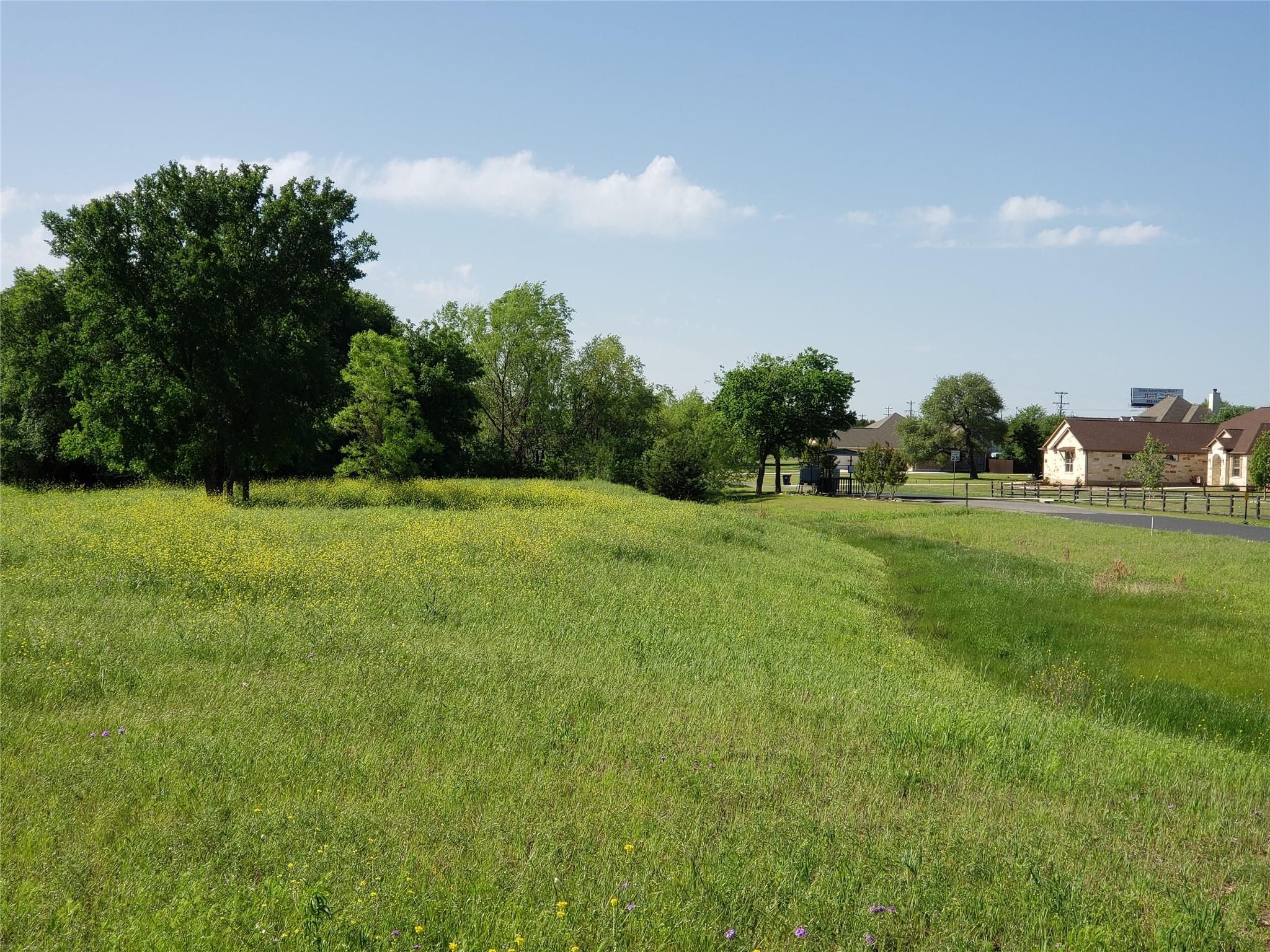 200 Christine Ln, Liberty Hill, TX 78642