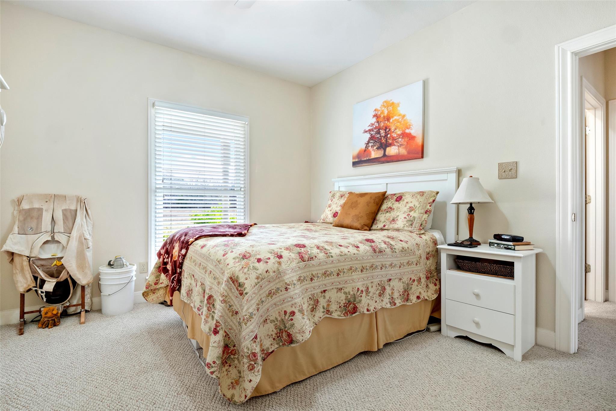 681 Leisure Ln, Cedar Creek, TX 78612