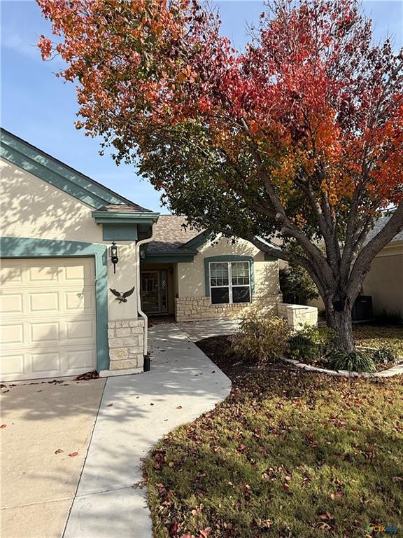 306 Cobalt Cv, Georgetown, TX 78633