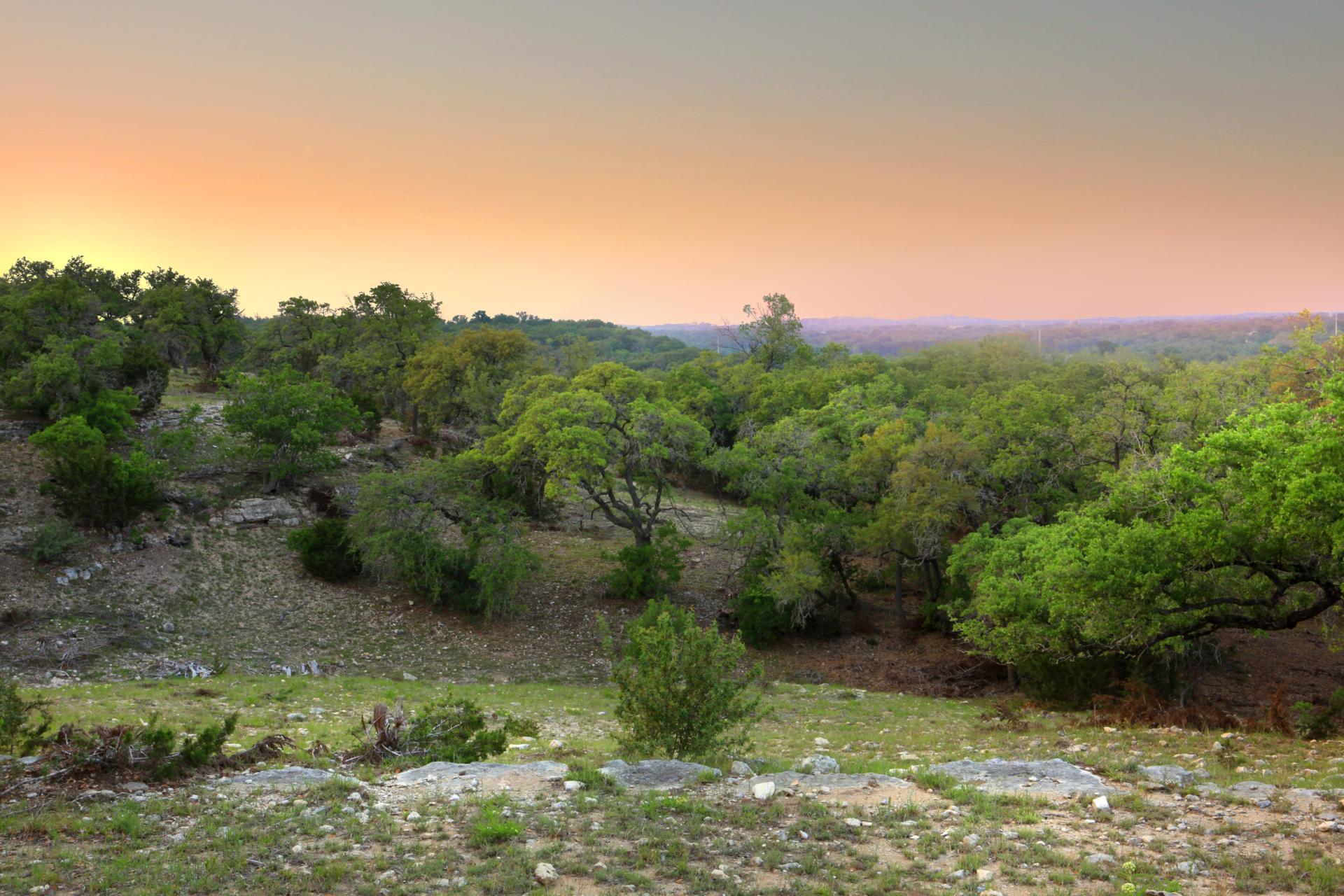 366 Crosswater Ln, Dripping Springs, TX 78620