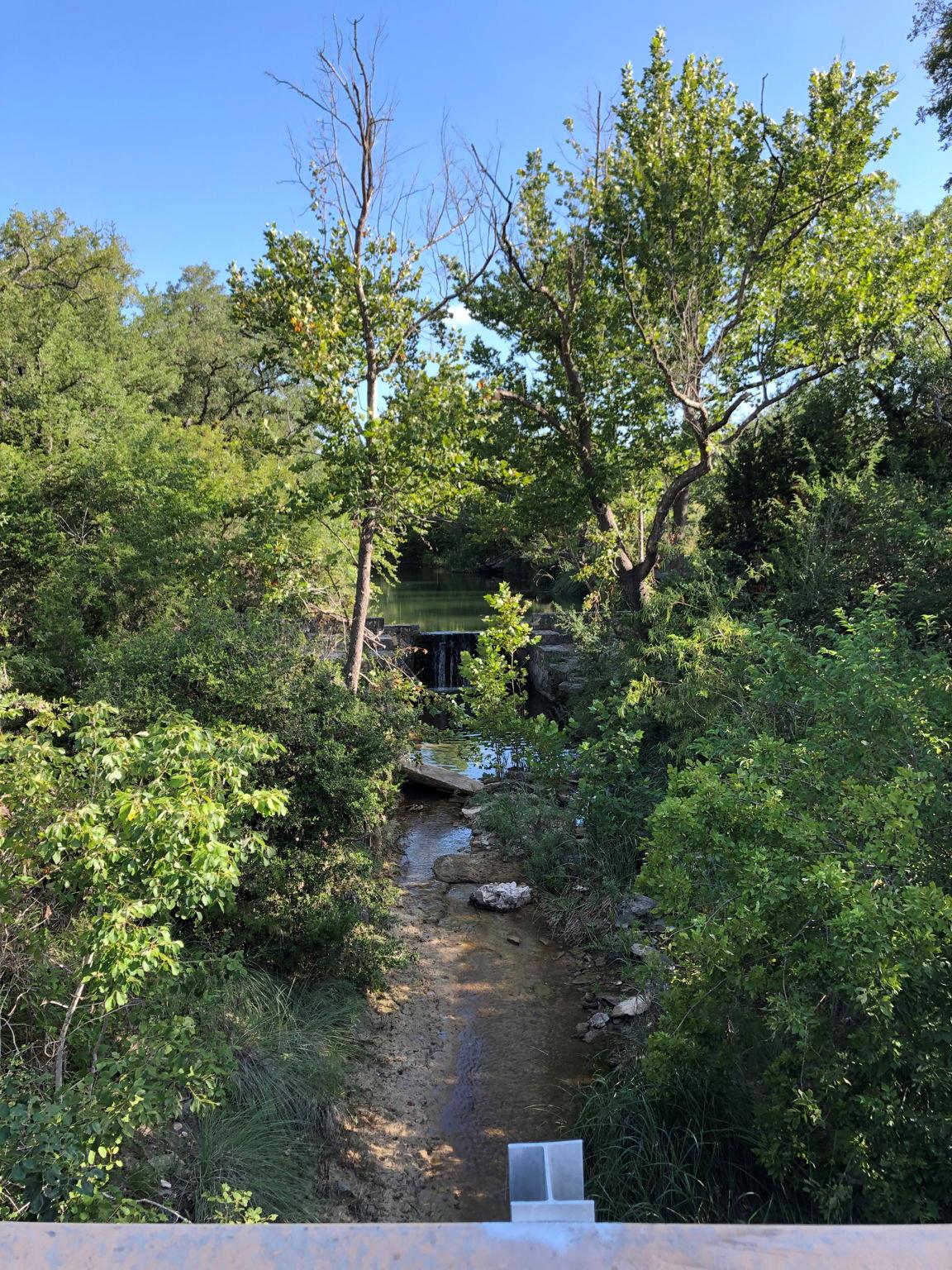 100 Dario Dr, Dripping Springs, TX 78620