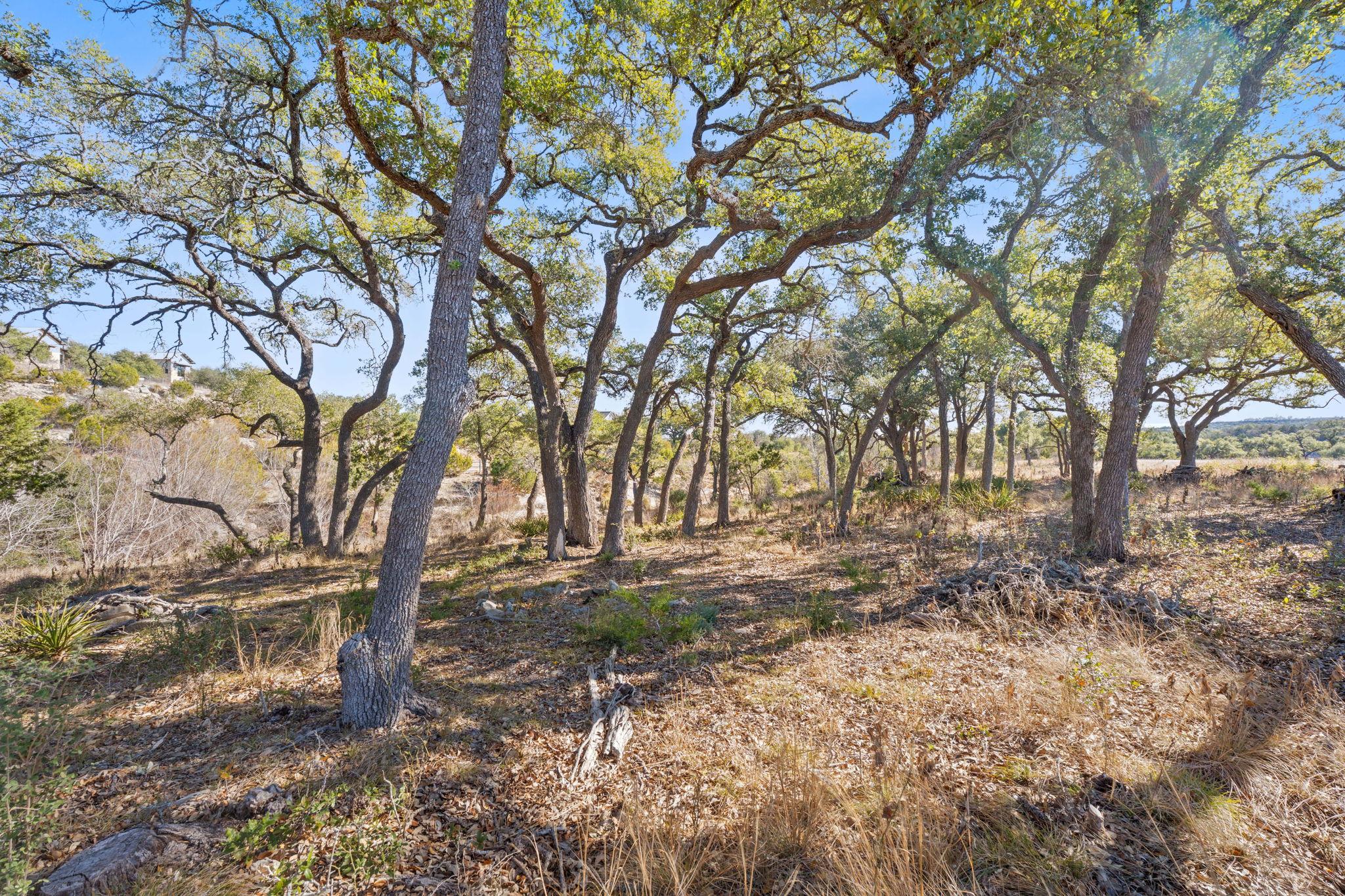 100 Dario Dr, Dripping Springs, TX 78620