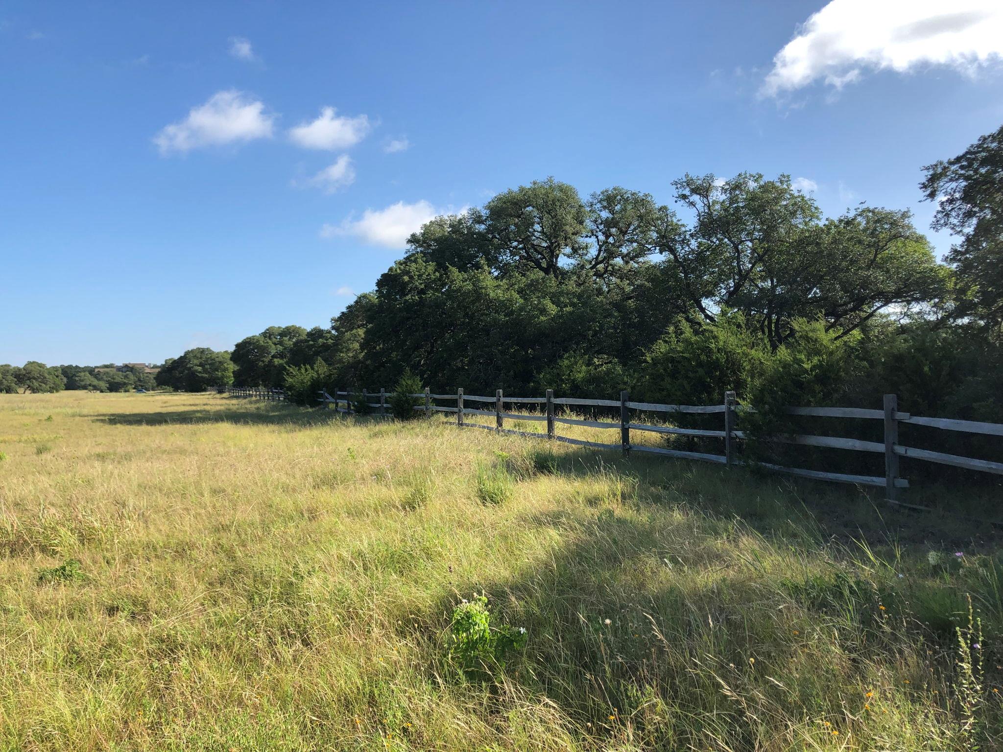 100 Dario Dr, Dripping Springs, TX 78620