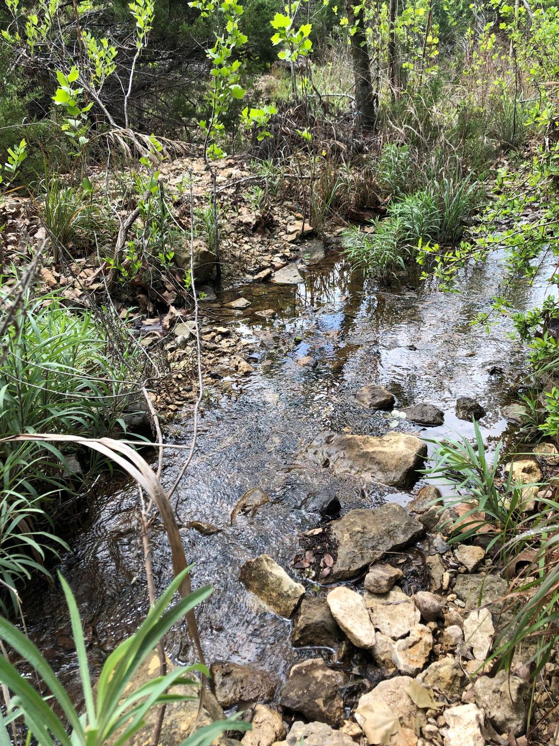 100 Dario Dr, Dripping Springs, TX 78620