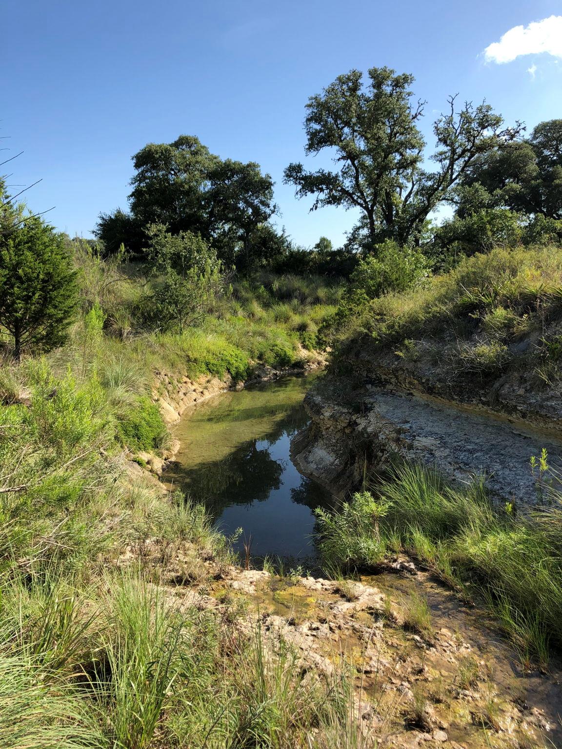 100 Dario Dr, Dripping Springs, TX 78620