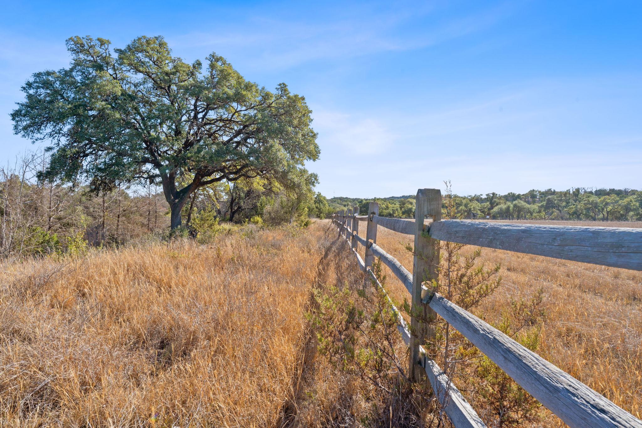 100 Dario Dr, Dripping Springs, TX 78620