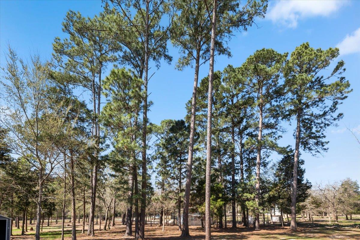 144 Old Potato Road Rd, Paige, TX 78659