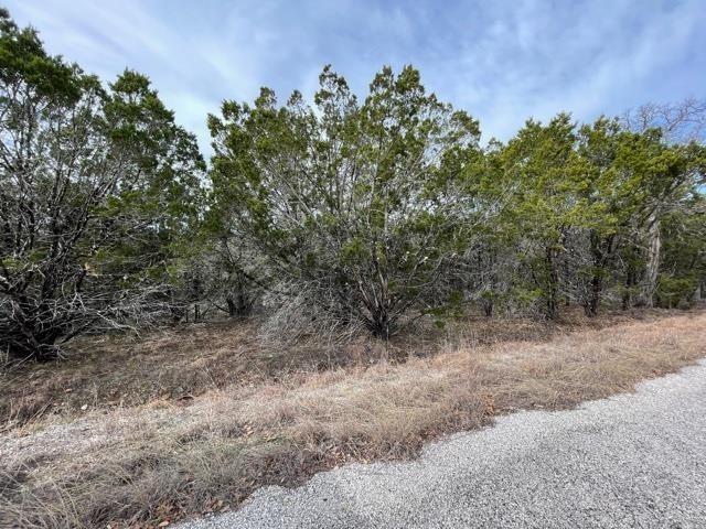 HB Lot K10033 Mountain Dew, Horseshoe Bay, TX 78657