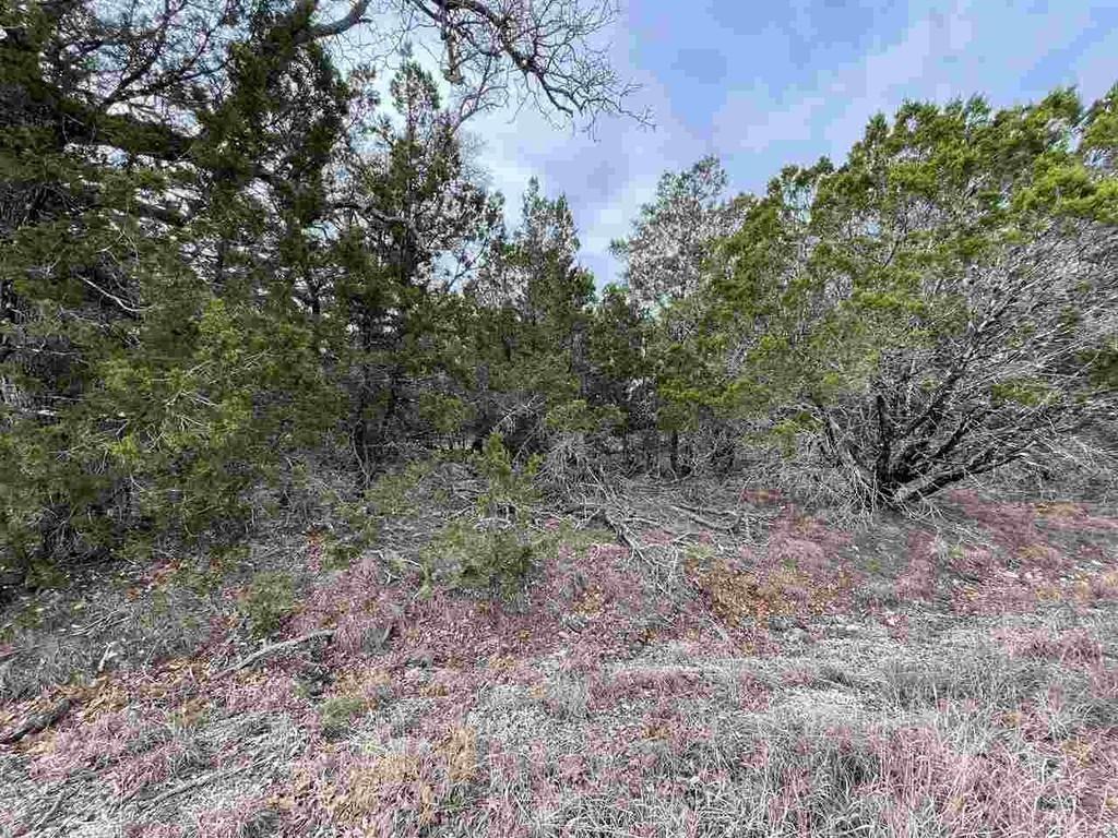 HB Lot K10033 Mountain Dew, Horseshoe Bay, TX 78657