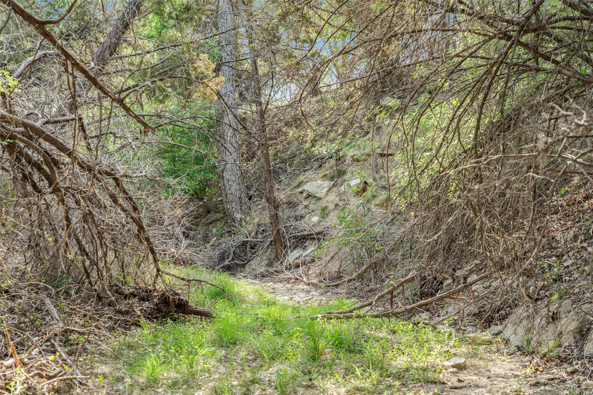 TBD Hwy 290, Johnson City, TX 78636