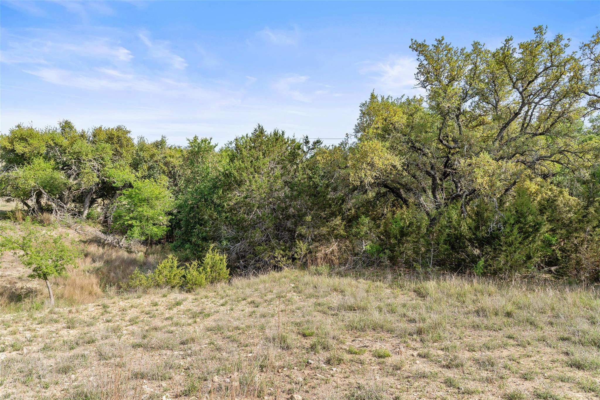 TBD Hwy 290, Johnson City, TX 78636