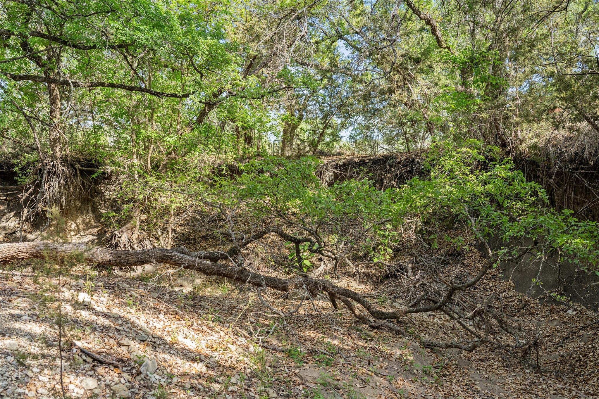 TBD Hwy 290, Johnson City, TX 78636