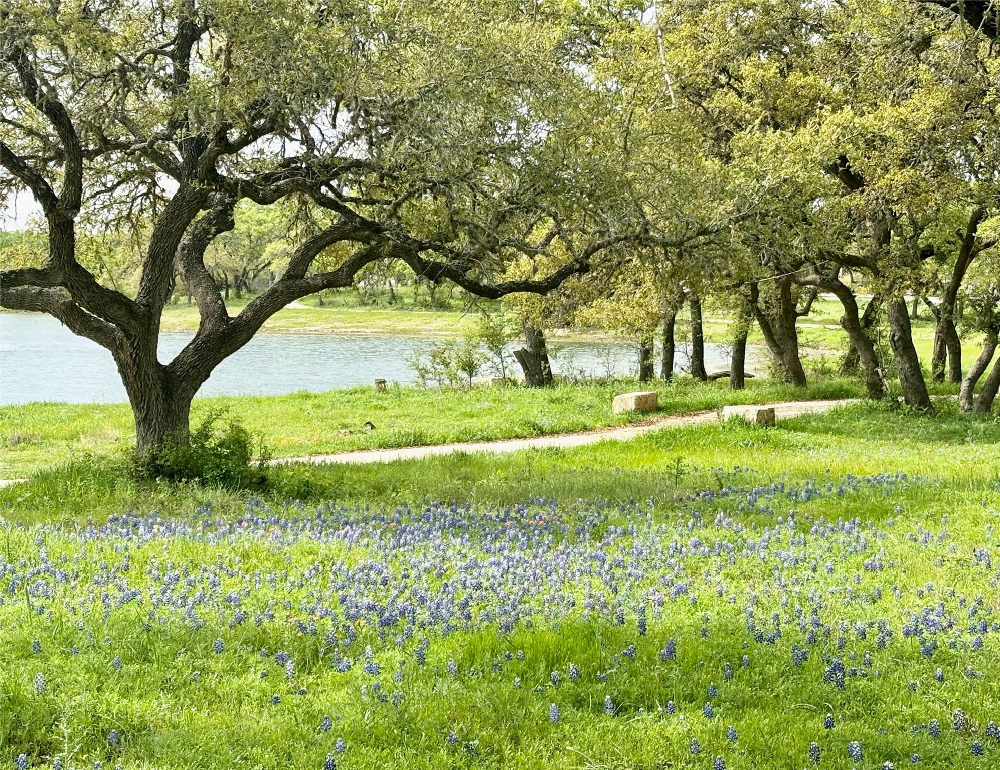 503 Painted Creek Way, Kyle, TX 78640