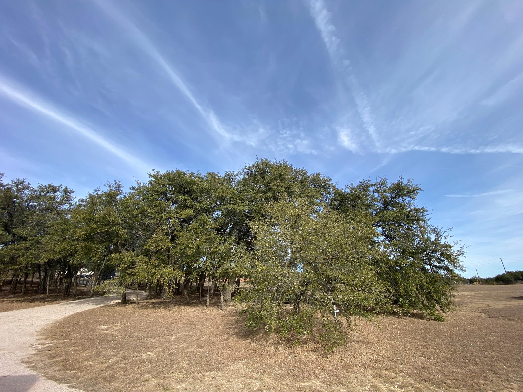 1320 County Road 304, Bertram, TX 78605