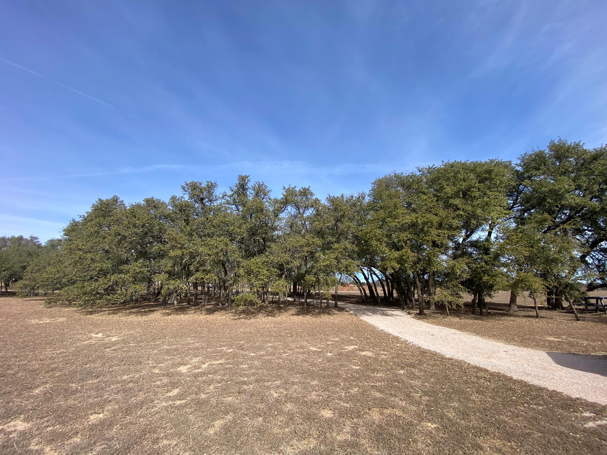 1320 County Road 304, Bertram, TX 78605