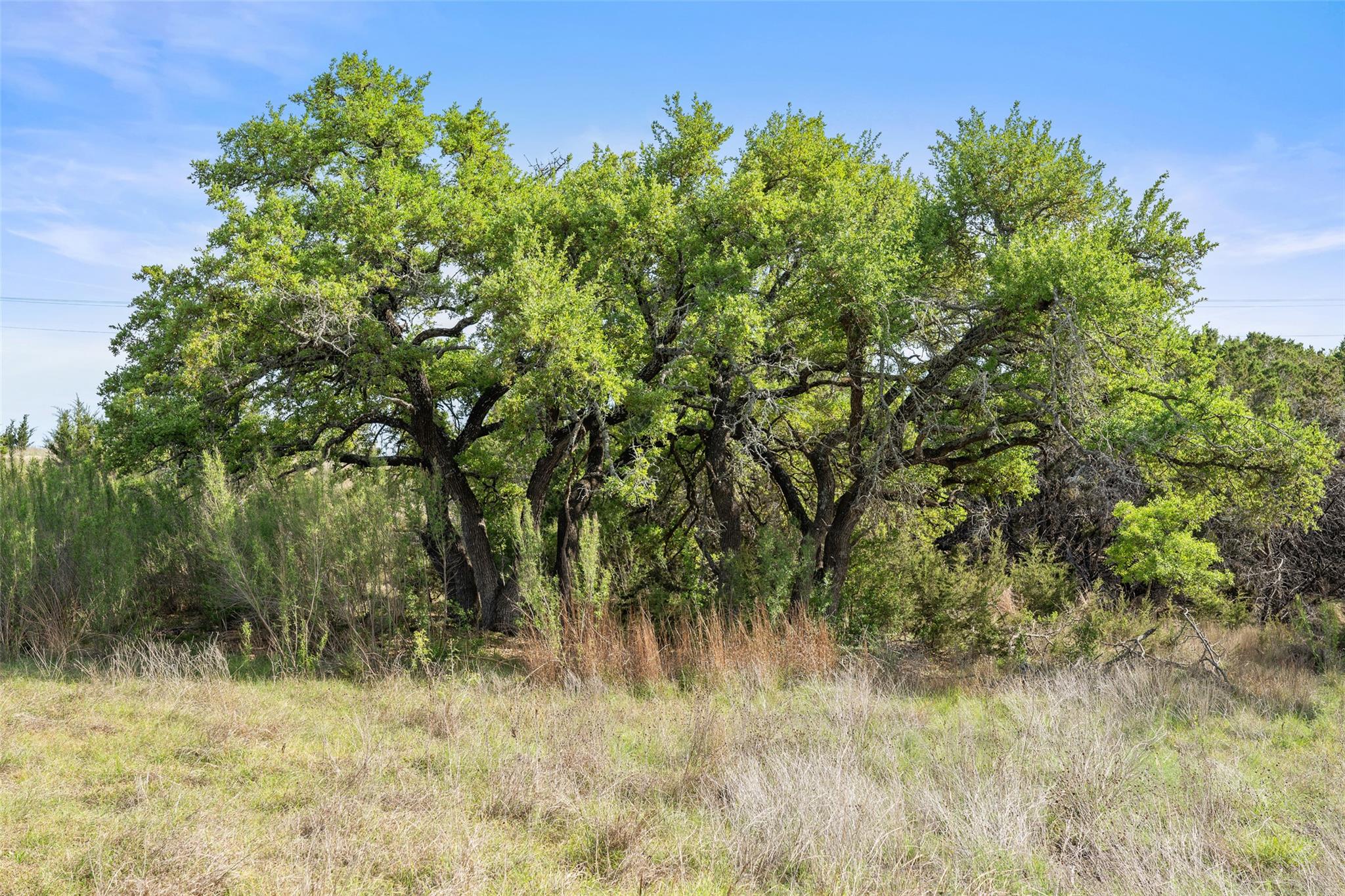 TBD Hwy 290, Johnson City, TX 78636