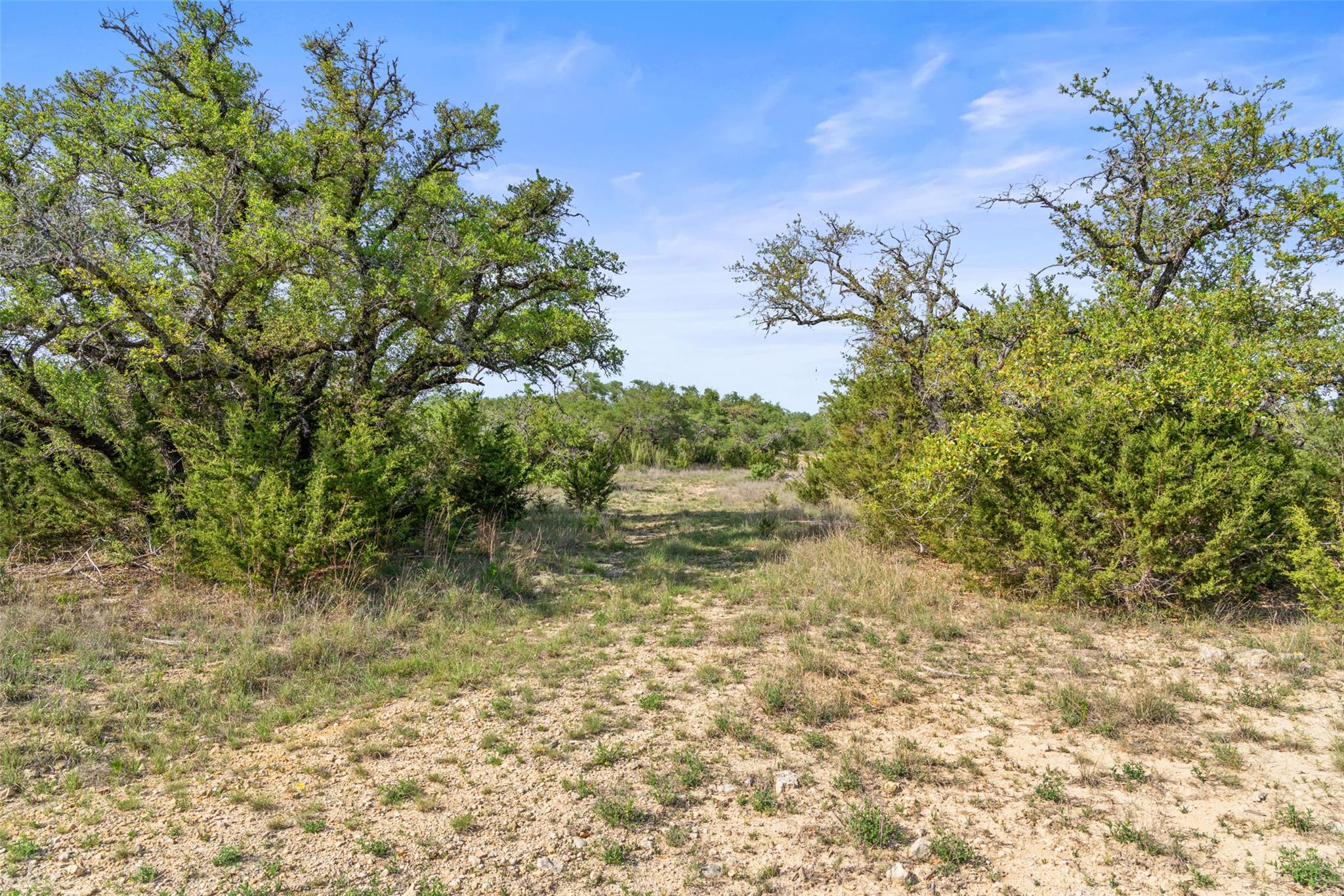 TBD Hwy 290, Johnson City, TX 78636
