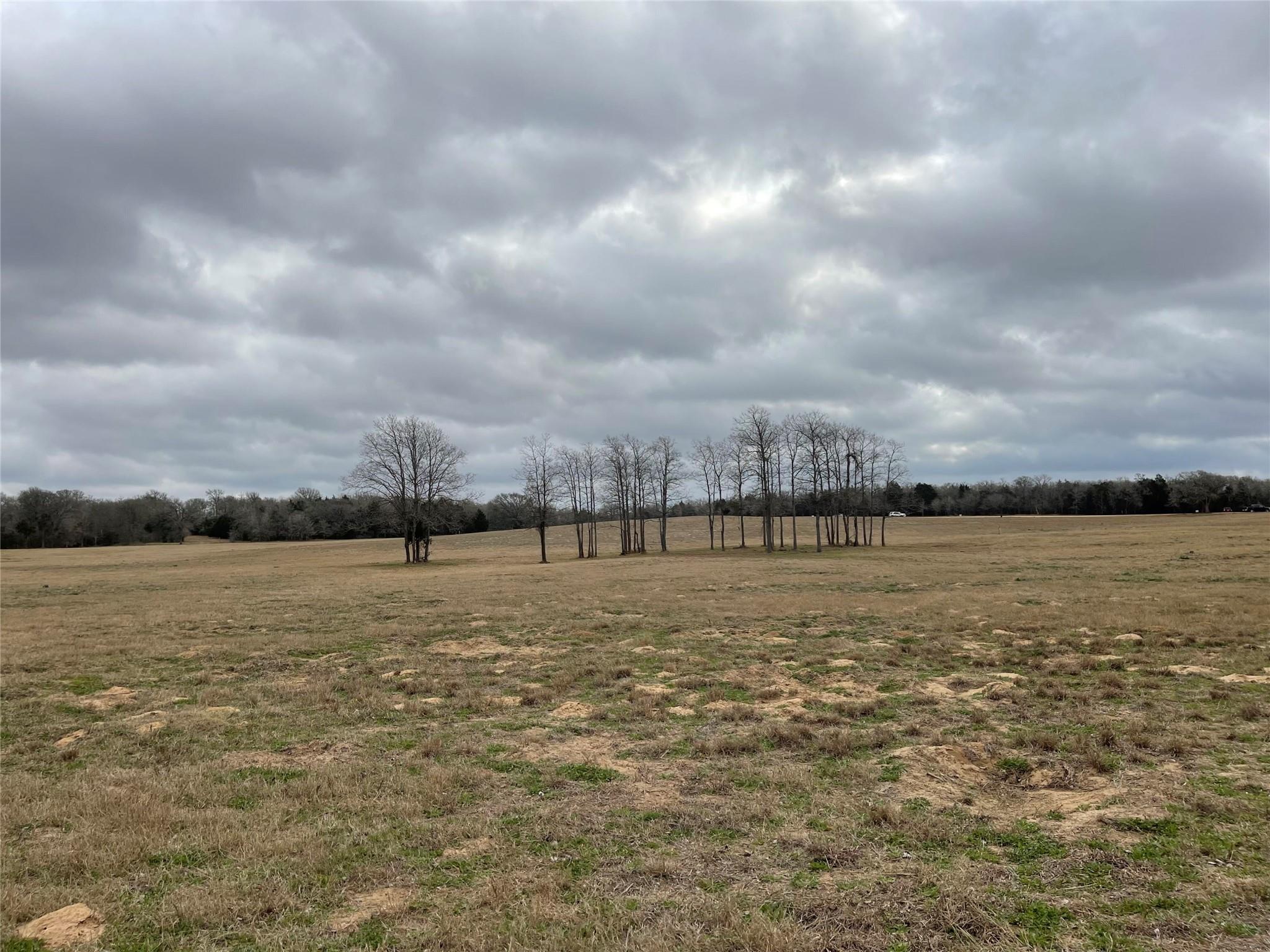 1498 Walleye Creek Ln, Lexington, TX 78947