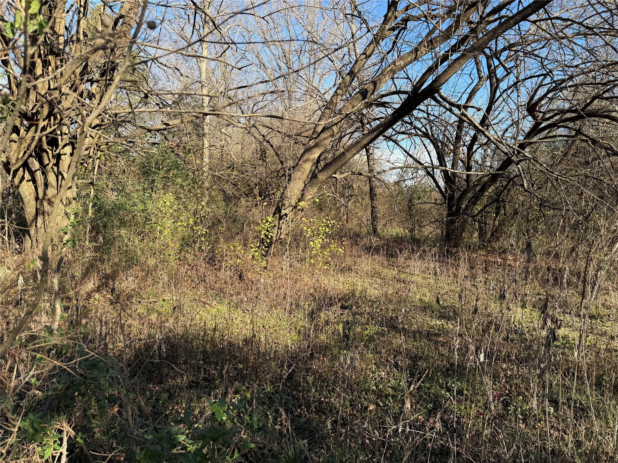 TBD County Road 925 Tract 17 Rd, Teague, TX 76667