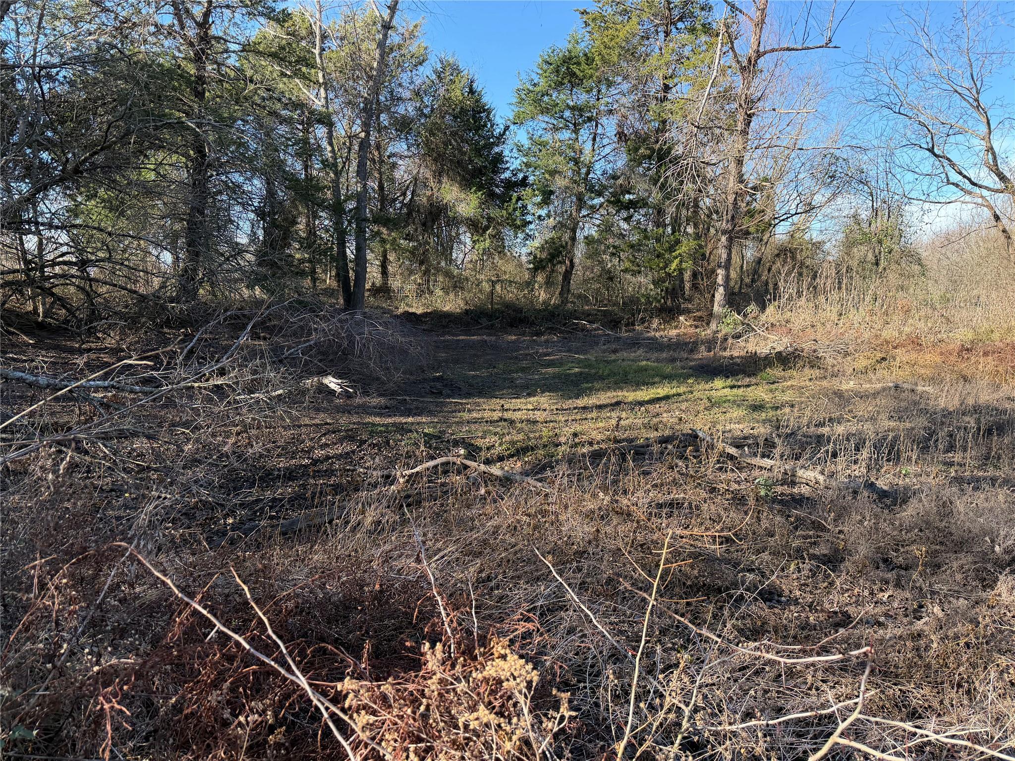 TBD County Road 925 Tract 17 Rd, Teague, TX 76667