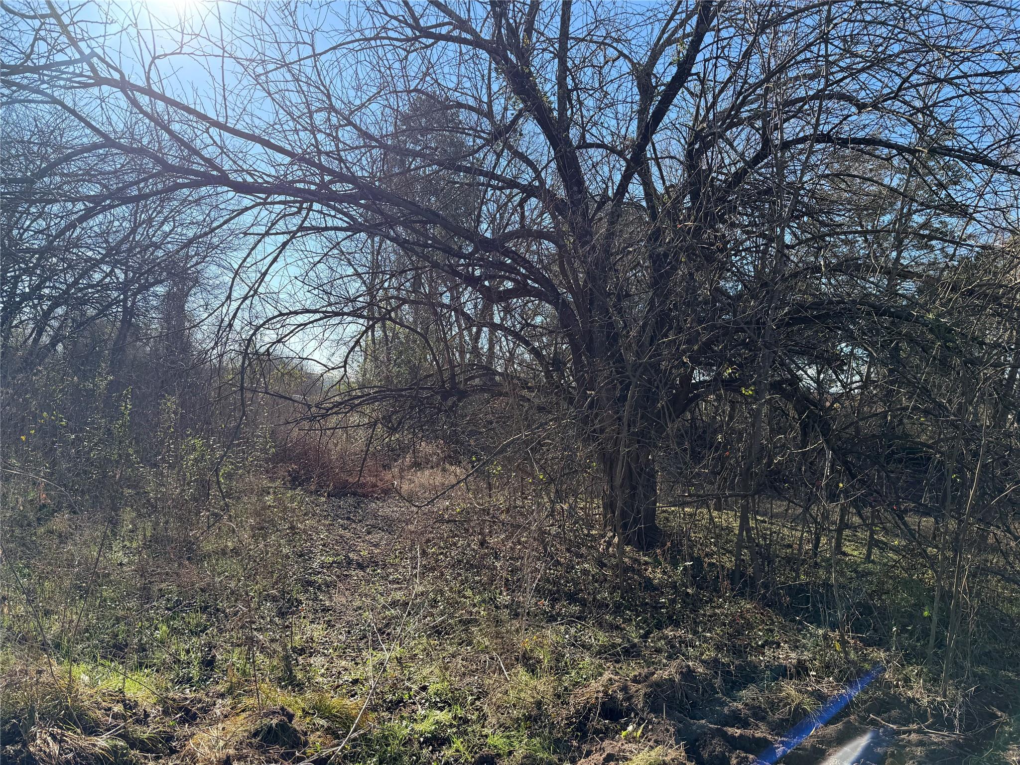 TBD County Road 925 Tract 17 Rd, Teague, TX 76667