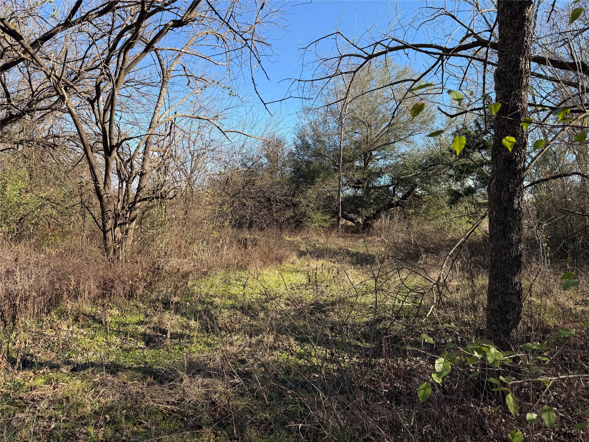 TBD County Road 925 Tract 17 Rd, Teague, TX 76667