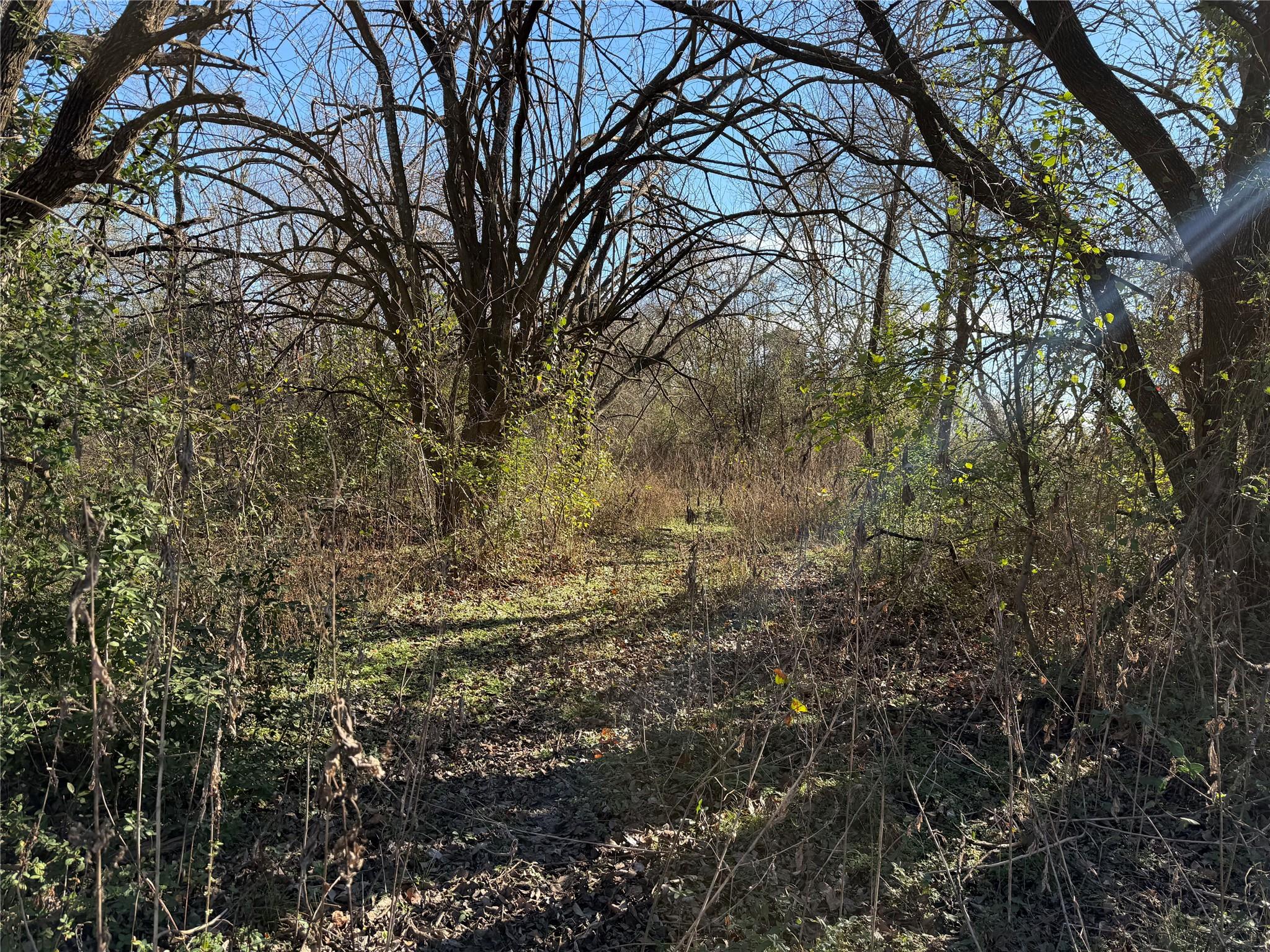 TBD County Road 925 Tract 17 Rd, Teague, TX 76667