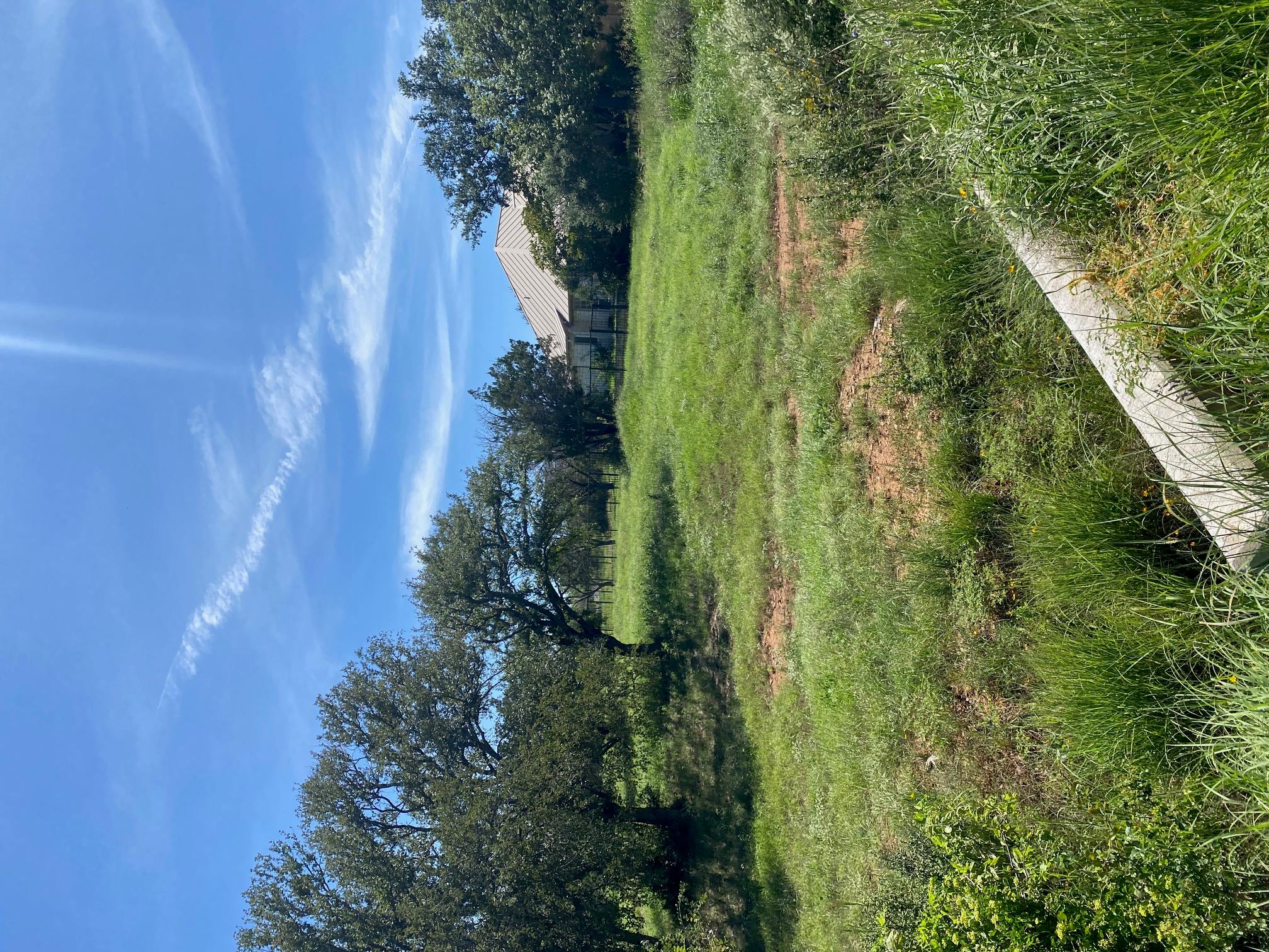 W25065 White Dove / Apache Tears, Horseshoe Bay, TX 78657