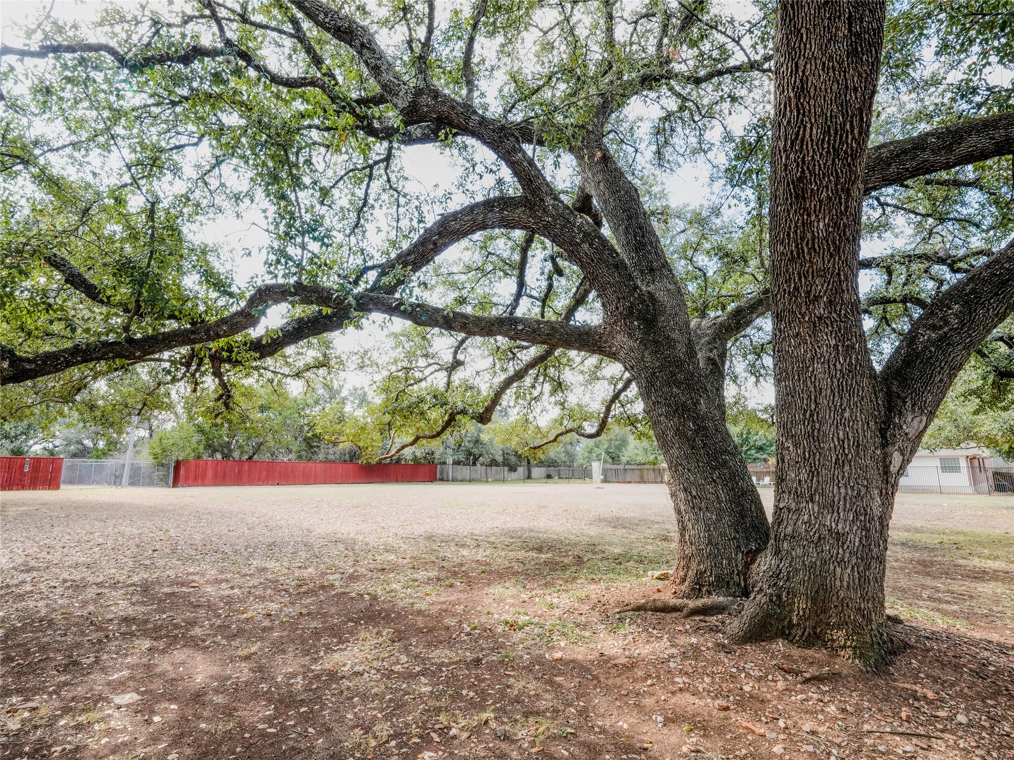 14815 Avery Ranch Blvd # 1303, Austin, TX 78717