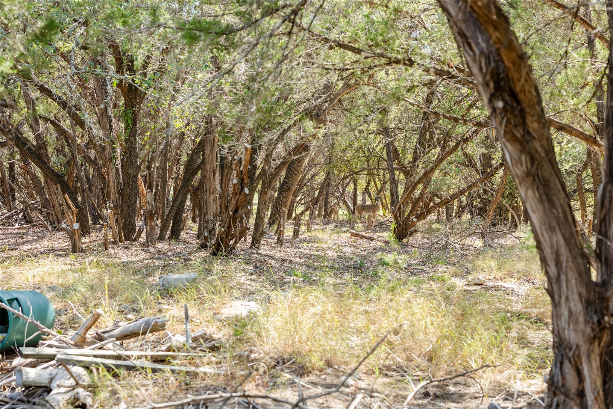 21402 Broken Bow Cv, Lago Vista, TX 78645