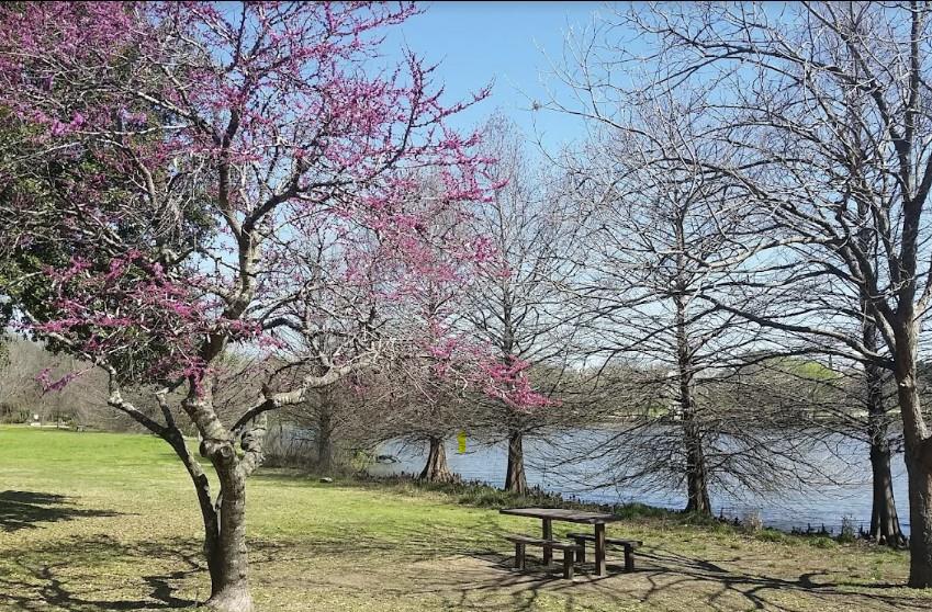 3900 Lemos Dr, Austin, TX 78728