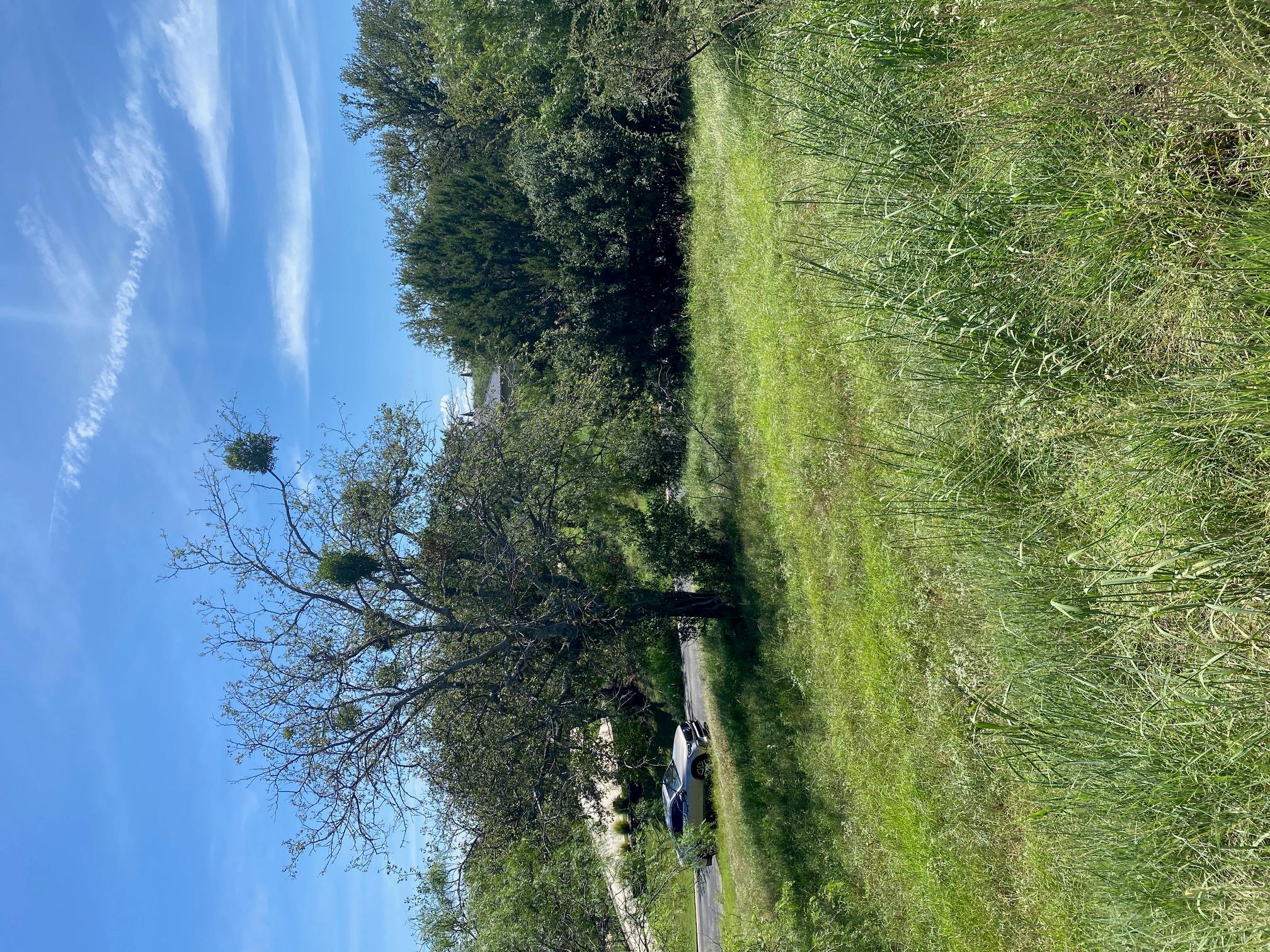 W25058 ApacheTears/White, Horseshoe Bay, TX 78657