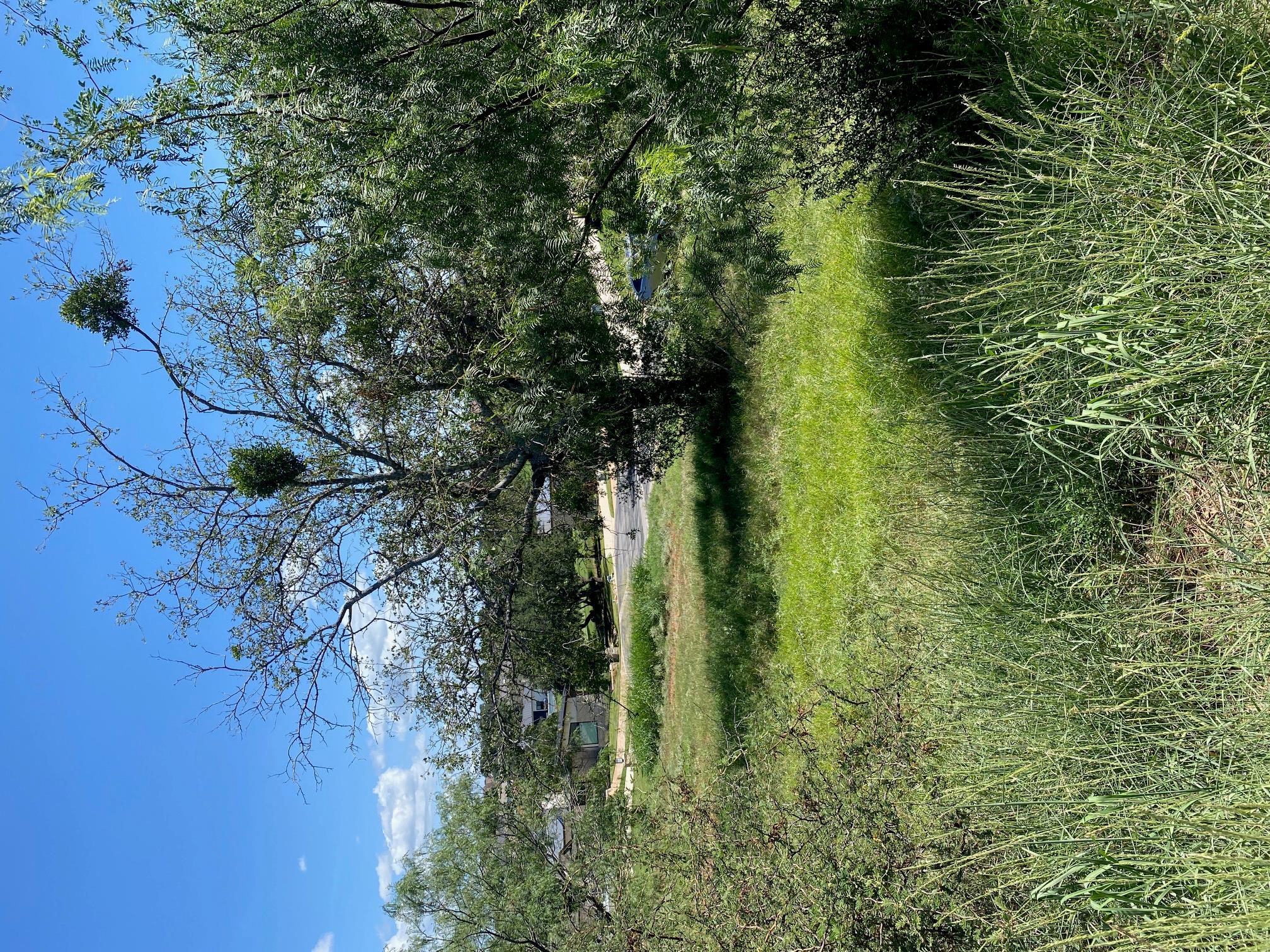 W25058 ApacheTears/White, Horseshoe Bay, TX 78657