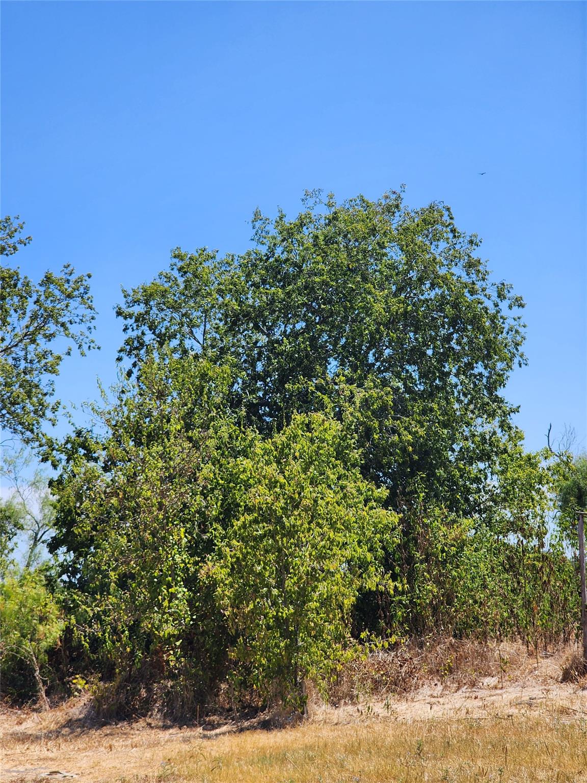 18327 Blake Manor RD Rd, Manor, TX 78653